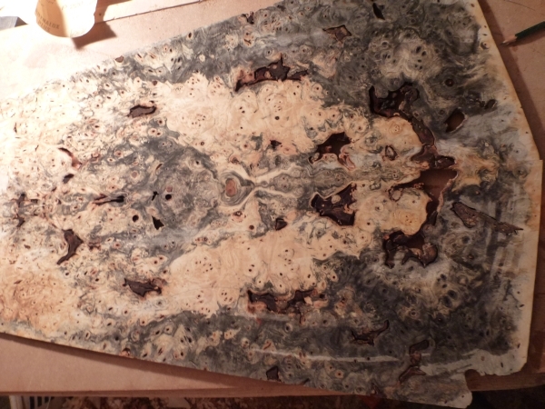 buckeye burl