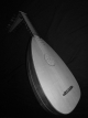 Renaissance lute