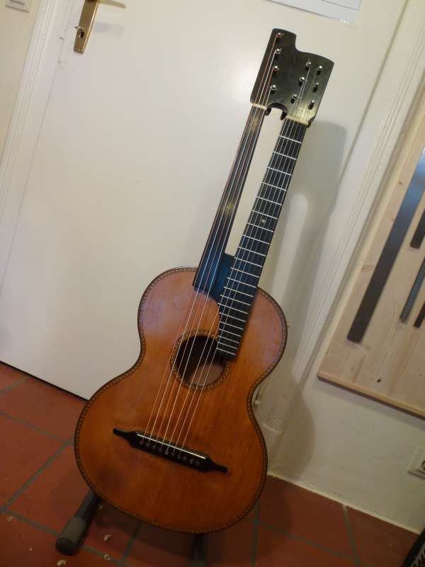 10 string harpguitar