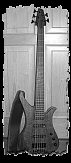 corona 5 String