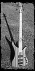 4 String Corona